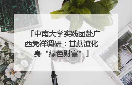 中南大学实践团赴广西凭祥调研：甘蔗渣化身“绿色财富”