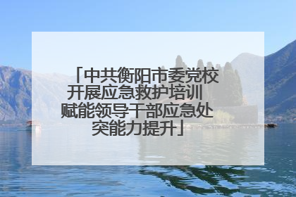 中共衡阳市委党校开展应急救护培训 赋能领导干部应急处突能力提升