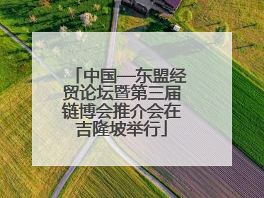 中国—东盟经贸论坛暨第三届链博会推介会在吉隆坡举行
