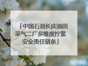 中国石油长庆油田采气二厂多维度拧紧安全责任链条