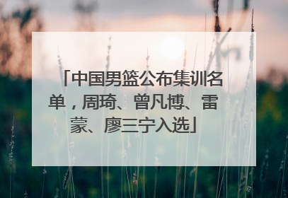 中国男篮公布集训名单，周琦、曾凡博、雷蒙、廖三宁入选