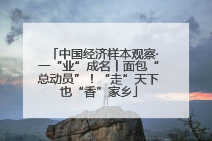 中国经济样本观察·一“业”成名丨面包“总动员”！“走”天下也“香”家乡