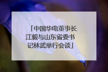 中国华电董事长江毅与山东省委书记林武举行会谈