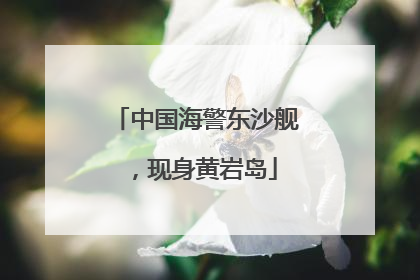 中国海警东沙舰，现身黄岩岛