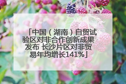 中国（湖南）自贸试验区对非合作创新成果发布 长沙片区对非贸易年均增长141%