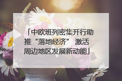 中欧班列密集开行助推“落地经济” 激活周边地区发展新动能