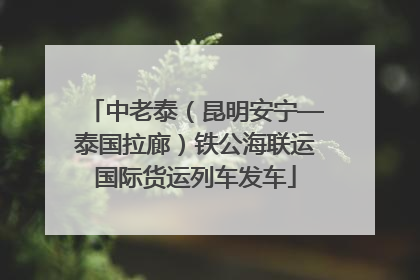 中老泰（昆明安宁—泰国拉廊）铁公海联运国际货运列车发车