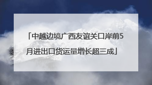 中越边境广西友谊关口岸前5月进出口货运量增长超三成
