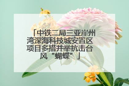 中铁二局三亚崖州湾深海科技城安置区项目多措并举抗击台风“蝴蝶”