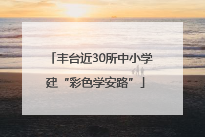 丰台近30所中小学建“彩色学安路”