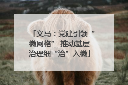 义马：党建引领“微网格” 推动基层治理细“治”入微