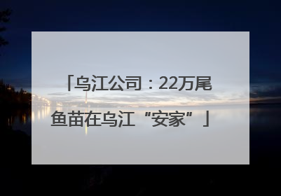 乌江公司：22万尾鱼苗在乌江“安家”