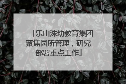 乐山洙幼教育集团聚焦园所管理，研究部署重点工作