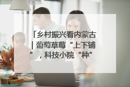 乡村振兴看内蒙古｜葡萄草莓“上下铺”，科技小院“种”出三倍效益