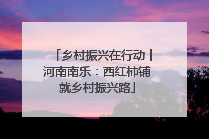 乡村振兴在行动丨河南南乐：西红柿铺就乡村振兴路