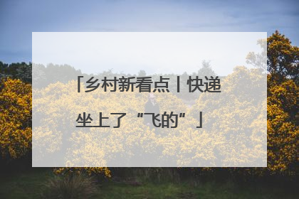 乡村新看点丨快递坐上了“飞的”