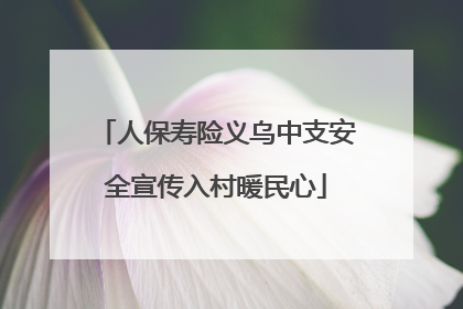 人保寿险义乌中支安全宣传入村暖民心