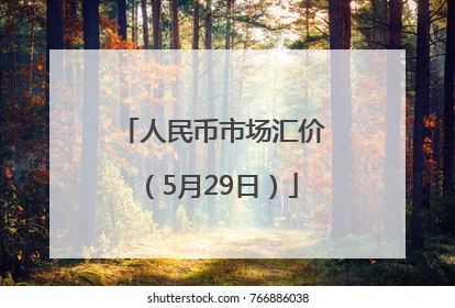 人民币市场汇价（5月29日）