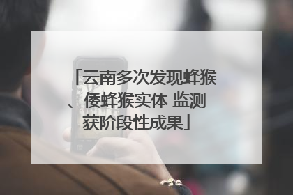 云南多次发现蜂猴、倭蜂猴实体 监测获阶段性成果