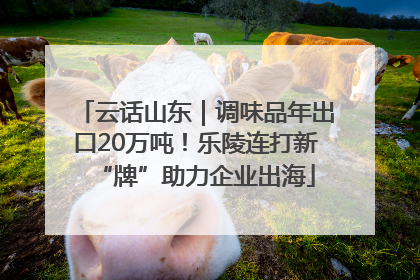 云话山东｜调味品年出口20万吨！乐陵连打新“牌”助力企业出海