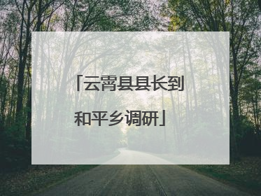 云霄县县长到和平乡调研