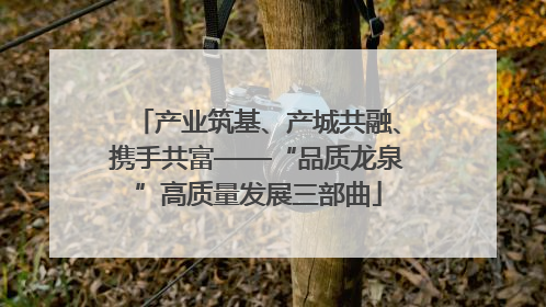 产业筑基、产城共融、携手共富——“品质龙泉”高质量发展三部曲