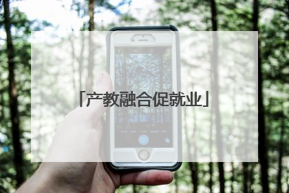 产教融合促就业