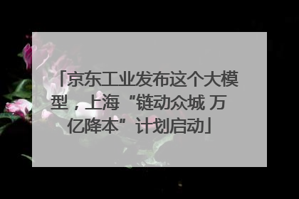 京东工业发布这个大模型，上海“链动众城 万亿降本”计划启动
