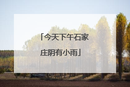 今天下午石家庄阴有小雨
