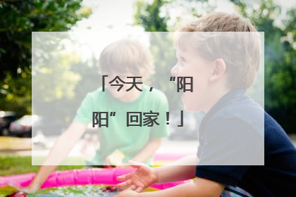 今天，“阳阳”回家！
