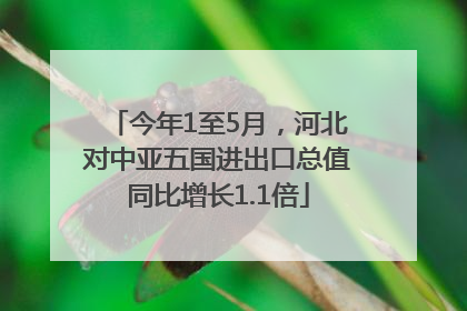 今年1至5月，河北对中亚五国进出口总值同比增长1.1倍