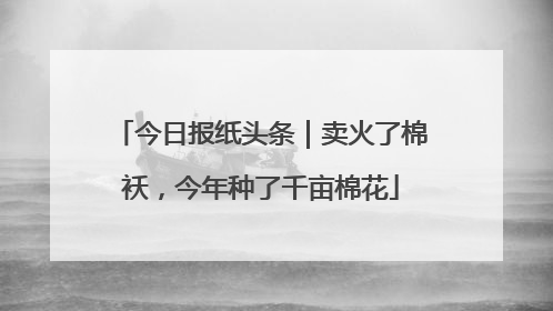 今日报纸头条｜卖火了棉袄，今年种了千亩棉花
