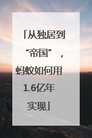 从独居到“帝国”，蚂蚁如何用1.6亿年实现