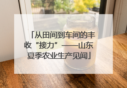 从田间到车间的丰收“接力”——山东夏季农业生产见闻