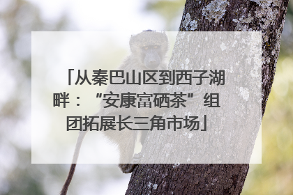 从秦巴山区到西子湖畔：“安康富硒茶”组团拓展长三角市场