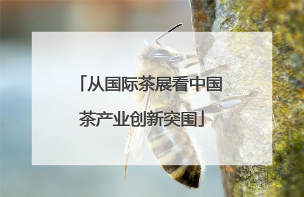 从国际茶展看中国茶产业创新突围