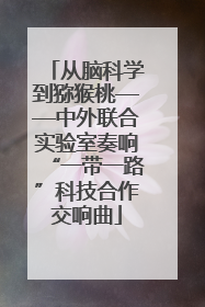 从脑科学到猕猴桃——中外联合实验室奏响“一带一路”科技合作交响曲