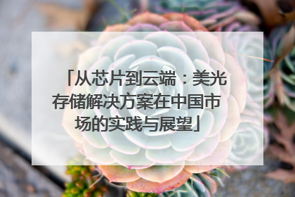 从芯片到云端：美光存储解决方案在中国市场的实践与展望