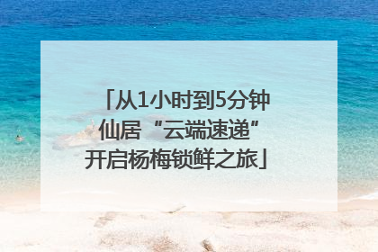 从1小时到5分钟 仙居“云端速递”开启杨梅锁鲜之旅