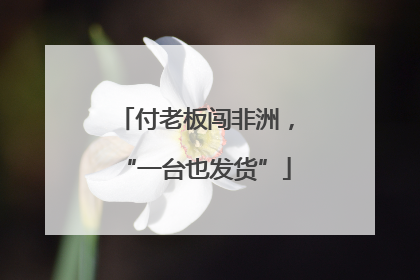 付老板闯非洲，“一台也发货”