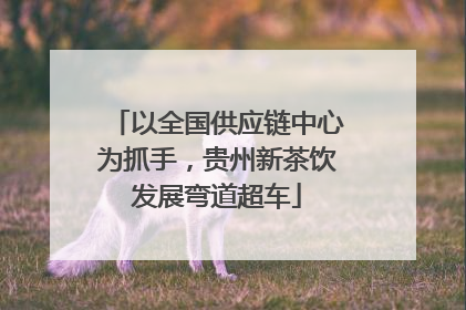以全国供应链中心为抓手，贵州新茶饮发展弯道超车