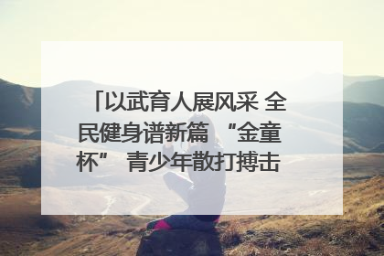 以武育人展风采 全民健身谱新篇 “金童杯” 青少年散打搏击邀请赛圆满落幕