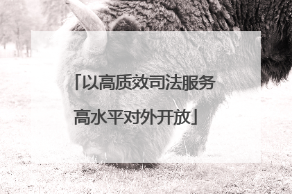 以高质效司法服务高水平对外开放