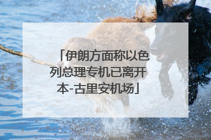 伊朗方面称以色列总理专机已离开本-古里安机场