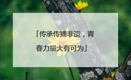 传承传播非遗，青春力量大有可为