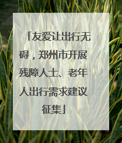友爱让出行无碍，郑州市开展残障人士、老年人出行需求建议征集