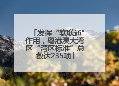 发挥“软联通”作用，粤港澳大湾区“湾区标准”总数达235项