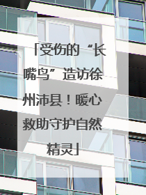 受伤的“长嘴鸟”造访徐州沛县！暖心救助守护自然精灵