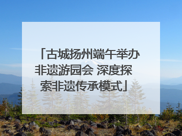 古城扬州端午举办非遗游园会 深度探索非遗传承模式