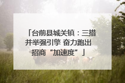 台前县城关镇：三措并举强引擎 奋力跑出招商“加速度”